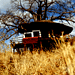 Image of Treetops Lodge