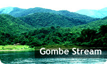 Gombe Stream