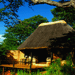 Image of Stanley Safari Lodge
