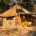Image of Mwamba Bush Camp