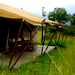 Image of Kwihala Tented Camp
