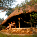 Image of Kisampa Eco Lodge