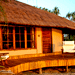 Image of Saadani Safari Lodge