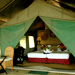 Image of Pom Pom Camp