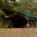 Image of Mdonya Old River Camp