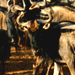 Image of The Wildebeest Migration