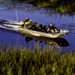 Image of Boat Safaris