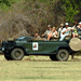 Image of Game Drives