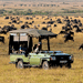 Image of Game Viewing