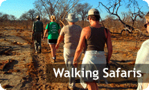 Walking Safaris in Zambia