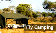 Fly Camping in Tanzania