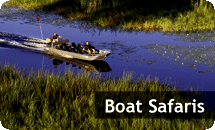 Boat Safaris