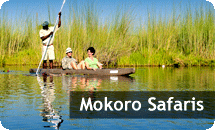 Mokoro Safaris