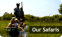 Our Safaris