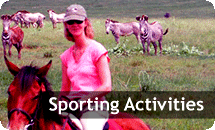 Sporting Activities
