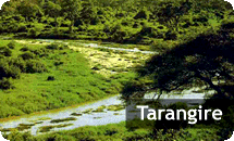 Tarangire