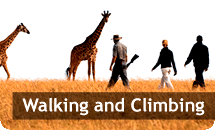 Walking and Climbing