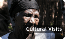 Cultural Visits