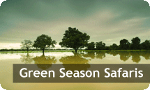 Green Season Safaris